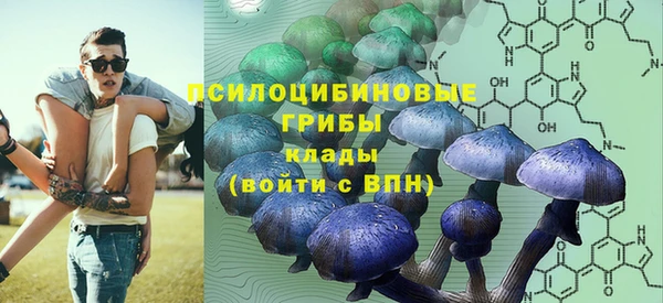 МДПВ Горняк
