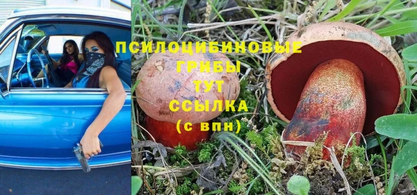 МДПВ Горняк
