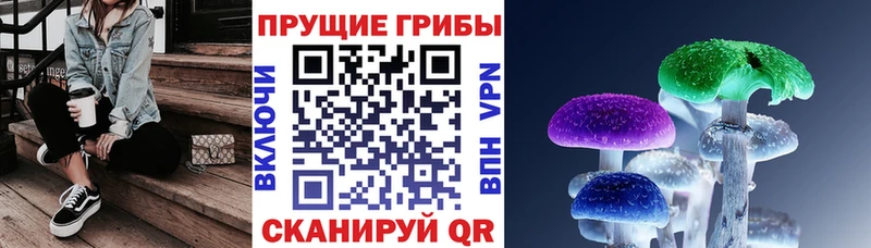 Купить закладки  Аксай  Галлюциногенные грибы Psilocybine cubensis 
